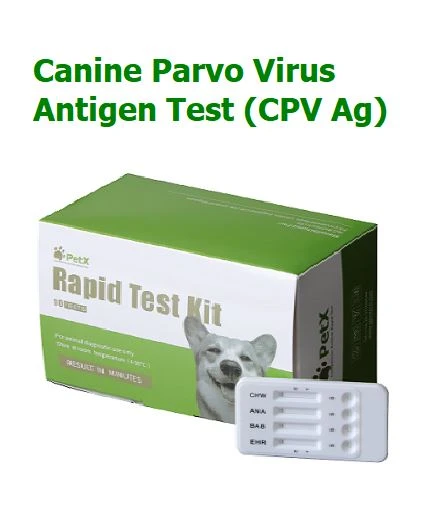 Teste Rápido de Antígeno do Vírus Parvo Canino